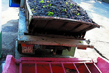 Первичная переработка виноградного сырья