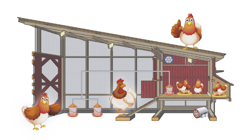 Китайское производство курятника для несущих кур и недорогие яичницы для куриных кур